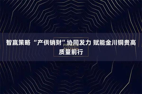 智赢策略 “产供销财”协同发力 赋能金川铜贵高质量前行
